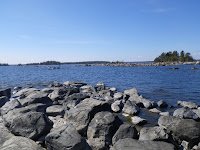IMGP0031.JPG Photo