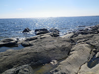 IMGP0036.JPG Photo