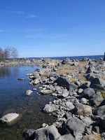 IMGP0038.JPG Photo
