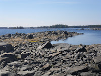 IMGP0050.JPG Photo