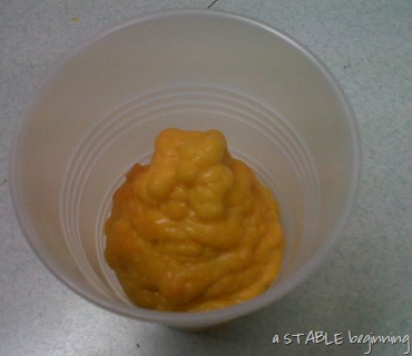 [2011 011-365 melted cheese[4].jpg]