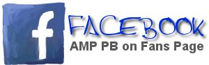 Facebook Fans Page