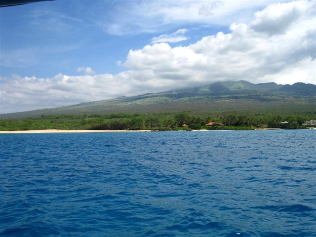 [Maui Snorkeling_04 (1) (Medium)[2].jpg]