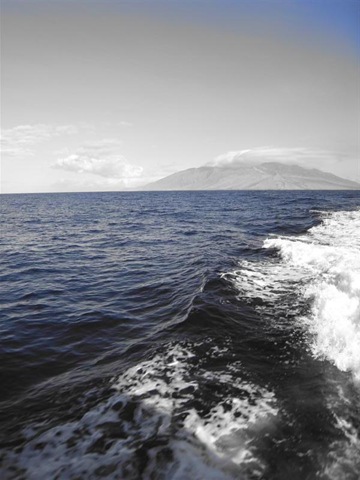 [Maui Snorkeling_01 (1) (Medium)[5].jpg]