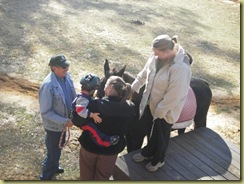 Grifyn hippotherapy 005