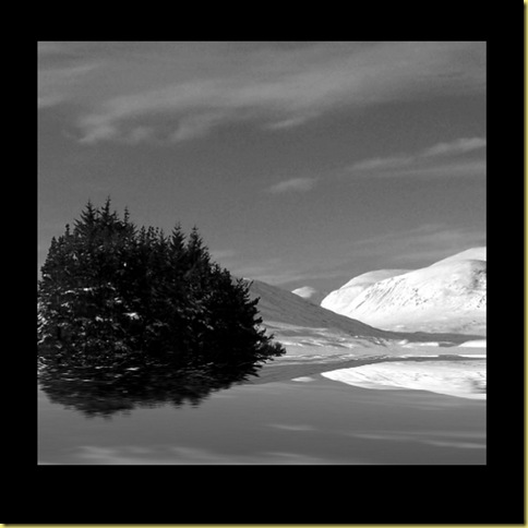 2010-01-291