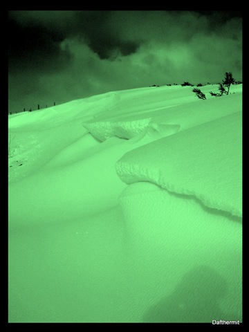 [2010022633.jpg]
