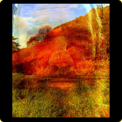 2010-03-062