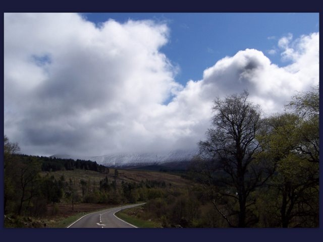 [20090508bloglocal23.jpg]