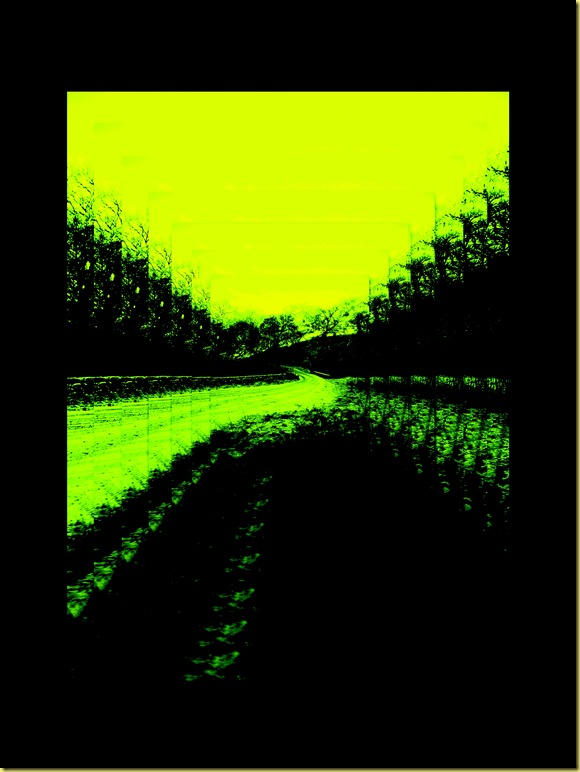 Collages35