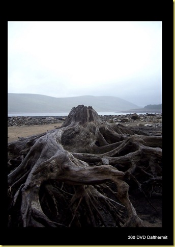 2009-06-05 rain1
