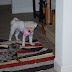 DSC_0106.JPG