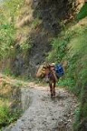 Waterfall Gangga Adventure Yasir And my Friend Slideshow