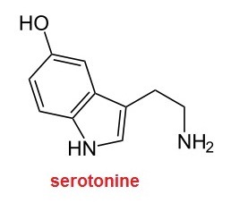 [serotonine[10].jpg]