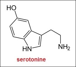serotonine serotonine