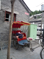 P1100878.JPG