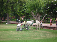 P1010048.JPG