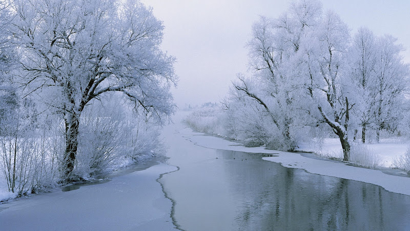 Winter%20White%20Wonderland