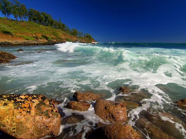 Kealia%20Shoreline%2C%20Kauai%2C%20Hawaii