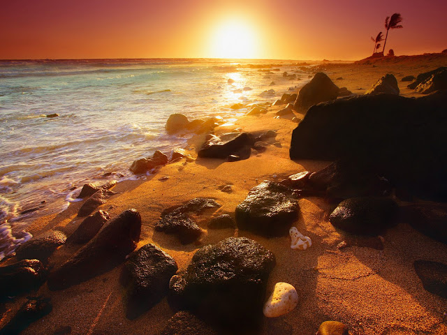 Shoreline%20Sunset%2C%20Hawaii