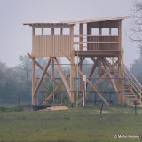 New Hide / Platform Graurinder Koppel - Apetlon &ndash; 23-Apr-2010