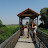 Bridge of Andau - good for birding! &ndash; 03-Jul-2008