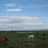 Seevorgelände Neusiedlersee &ndash; 31-Jul-2009