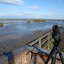 Hide 1. Von der Plattform nach Norden, Pferdekoppel, Illmitz &ndash; 11-Okt-2009