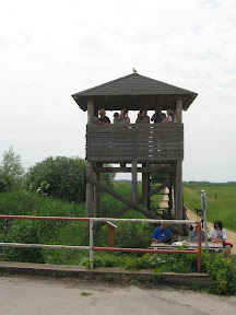 Hide 5. Tadten Hochstand Trappen &ndash; 24-Mai-2009
