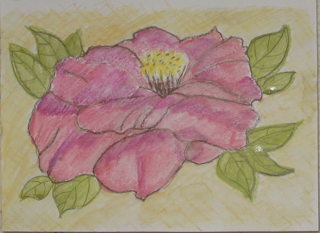[camellia[3].jpg]