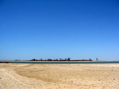 Landscape in Palmarin Senegal