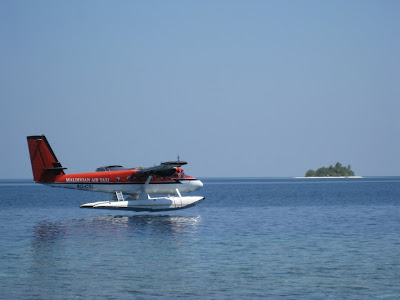 IMG_5418.JPG