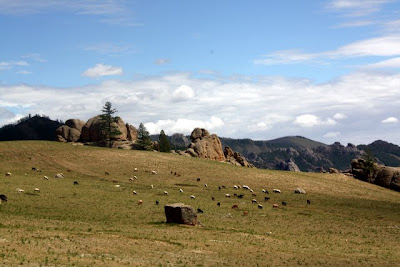Mongolian countryside in Terelj National Park