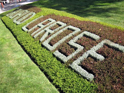 Hedge at a chateau at the Medoc Marathon