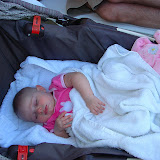 21 weeks old &ndash; Catnap with dolly