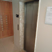 DSC00216.JPG