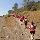 Caminatas en Junior School