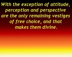 [perspective[3].jpg]