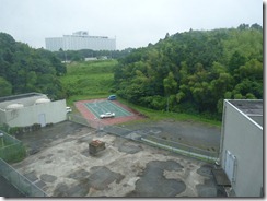 P1020131