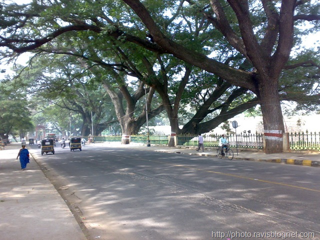[Mysore_Pics_2[2].jpg]