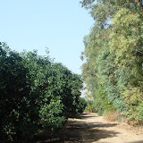 מגרש למכירה בטבריה