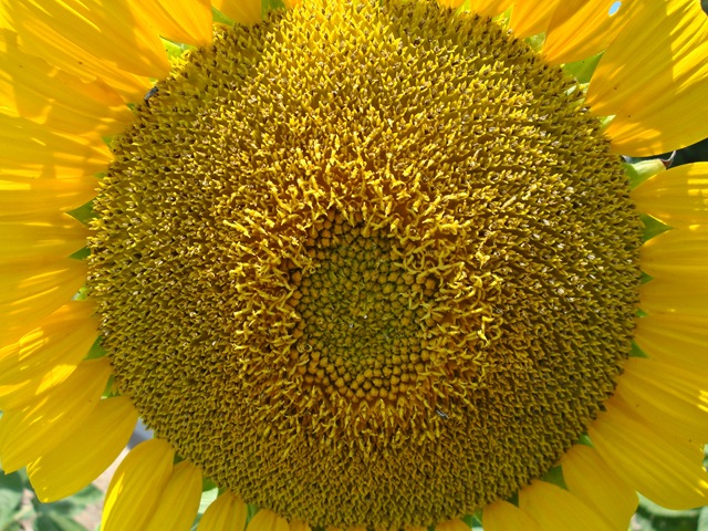 [017psc[3].jpg]