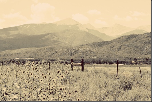 landscapeenhance1