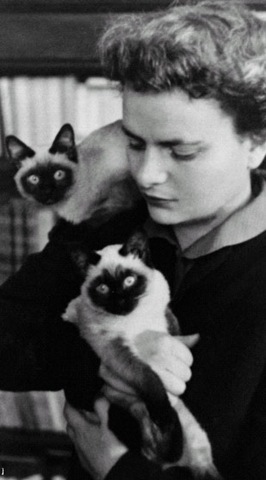 [elsa gatti 2[3].jpg]