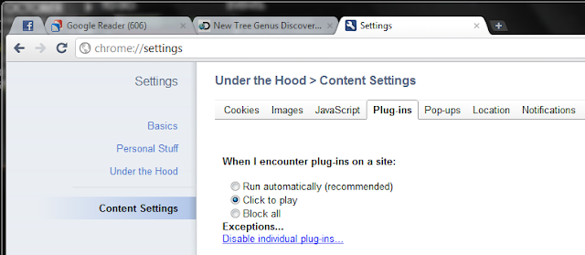 Google Chrome Settings click to play plug ins