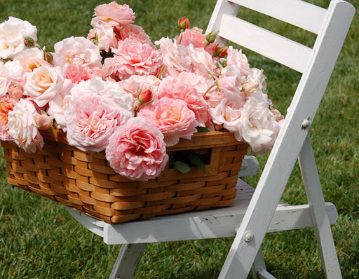 AMBIENTES: VINTAGE & CHIC, IDEAS PARA DECORAR.