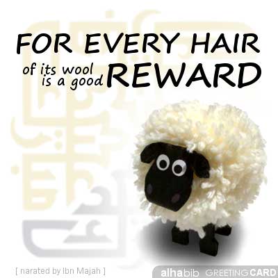 For every hair of its wool is a good reward. Eid ul Adha Greeting Card by Alhabib.
