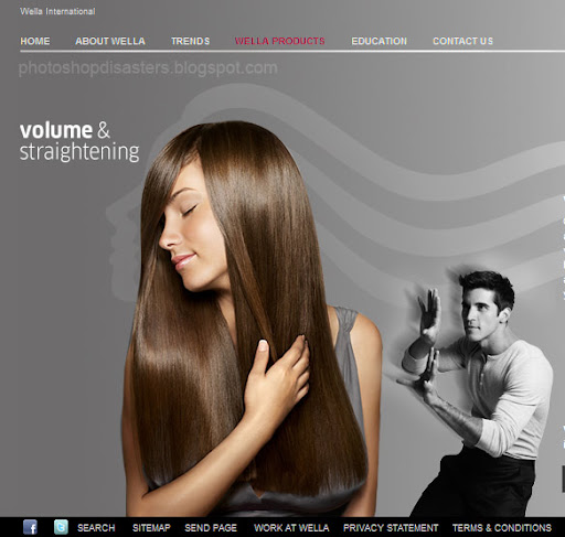 Wella PSD