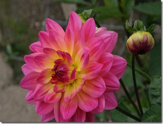 20100821_29057