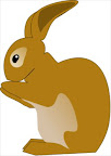 pet rabbit